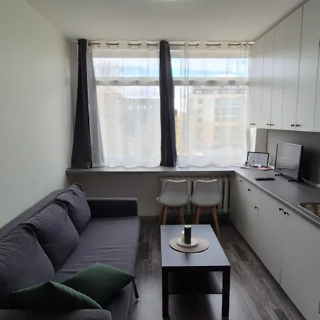 Cozy Place Near The Center Apartment *