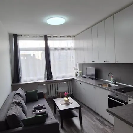 Cozy Place Near The Center Apartment Vilnius